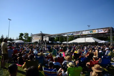 DSC_1948 (Large).JPG